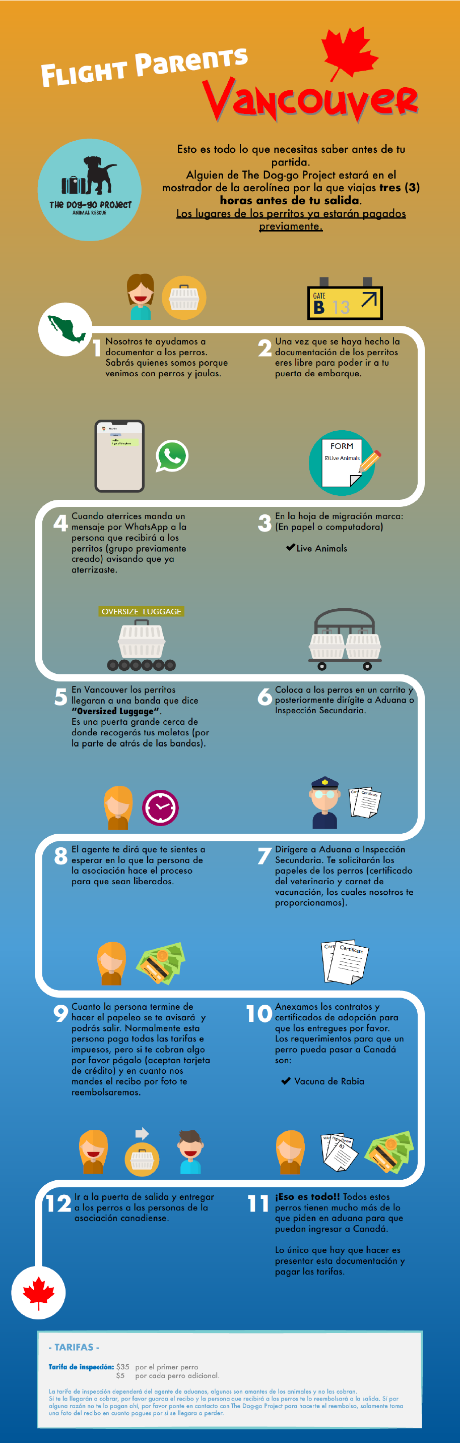 infografias-03